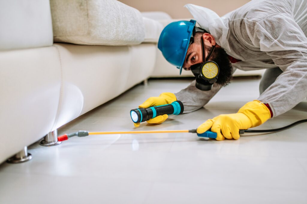 Coachella Termite Control